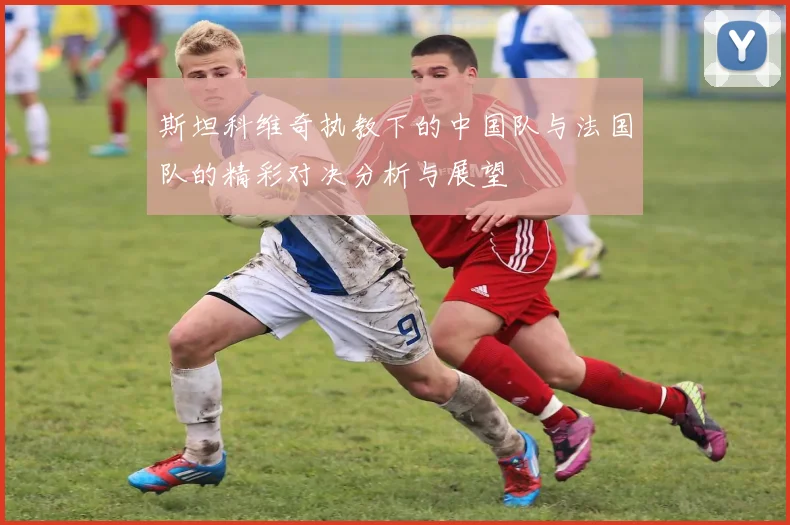 斯坦科维奇执教下的中国队与法国队的精彩对决分析与展望